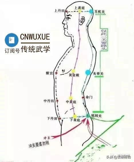 額頭紋路明顯 任督二脈走動圖